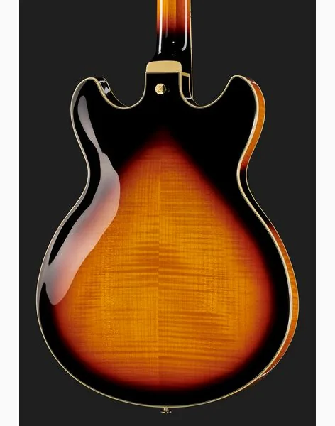 Ibanez AS113-BS, detail 5