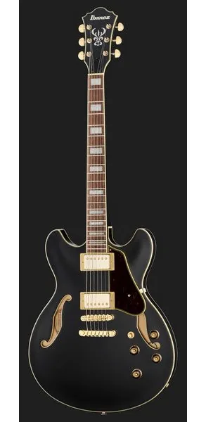 Ibanez AS73 G BKF, detail 2