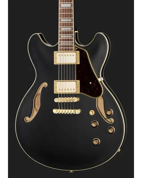 Ibanez AS73 G BKF, detail 4