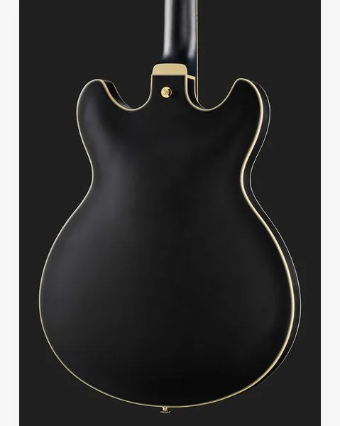 Ibanez AS73 G BKF, detail 5