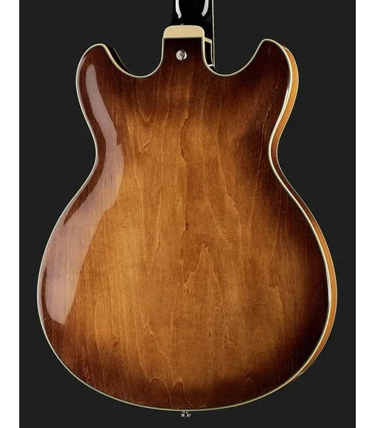 Ibanez AS73-TBC, detail 5