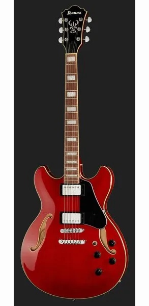 Ibanez AS73-TCD, detail 2