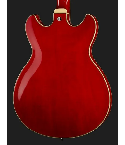 Ibanez AS73-TCD, detail 5