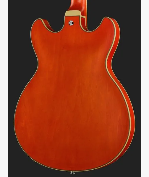 Ibanez AS73-TTF, detail 5