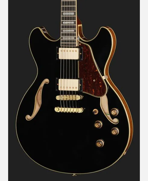 Ibanez AS93BC BK, detail 4