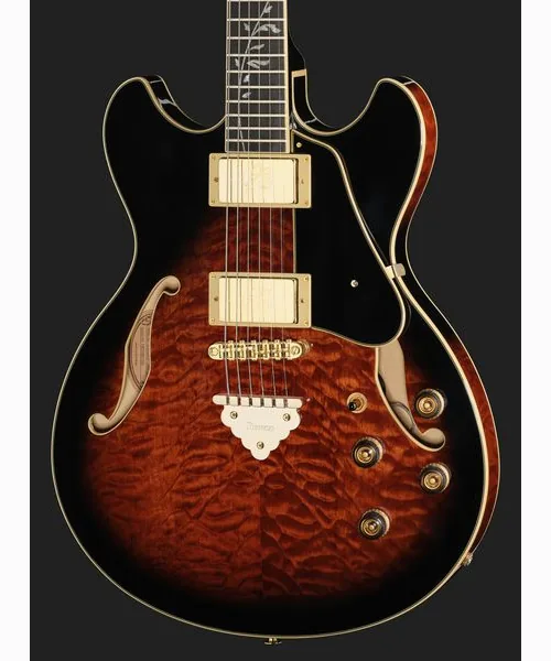 Ibanez AS93QMSP-DBS, detail 4