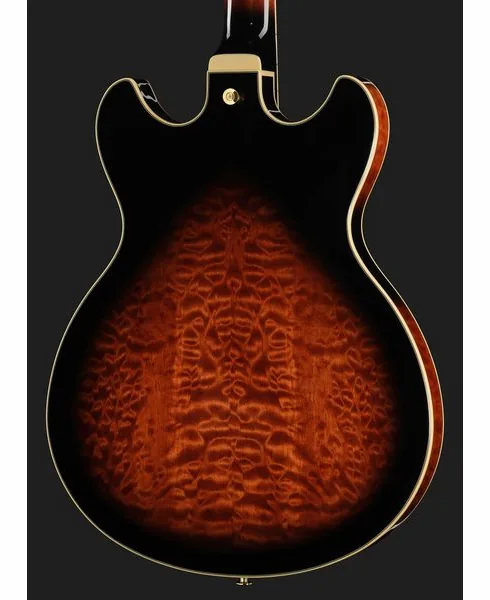Ibanez AS93QMSP-DBS, detail 5