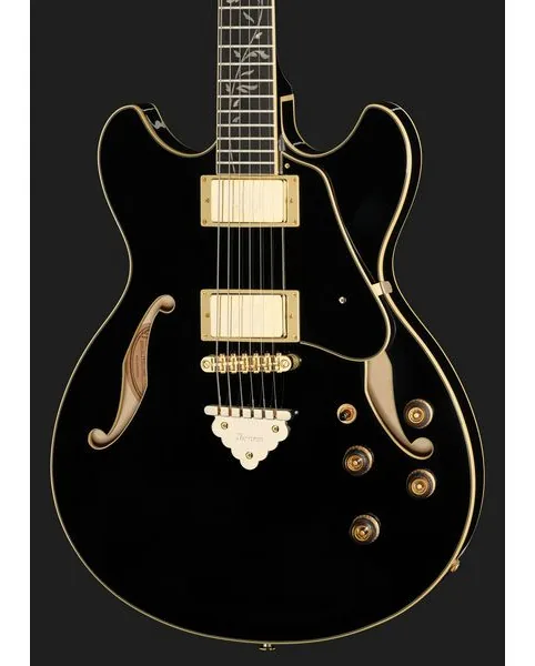 Ibanez AS93SP-BK, detail 4