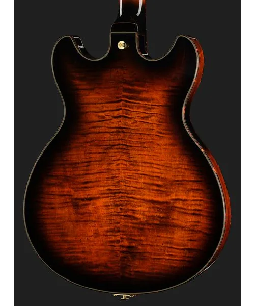 Ibanez ASH300-TBC, detail 5