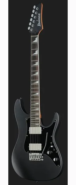 Ibanez BER10 Bernth Signature BK, detail 2