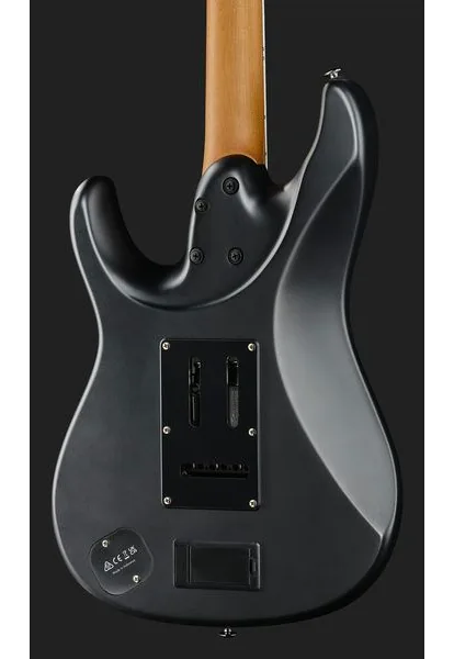 Ibanez BER10 Bernth Signature BK, detail 5
