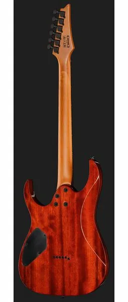 Ibanez GRGR221FA-TDK, detail 3