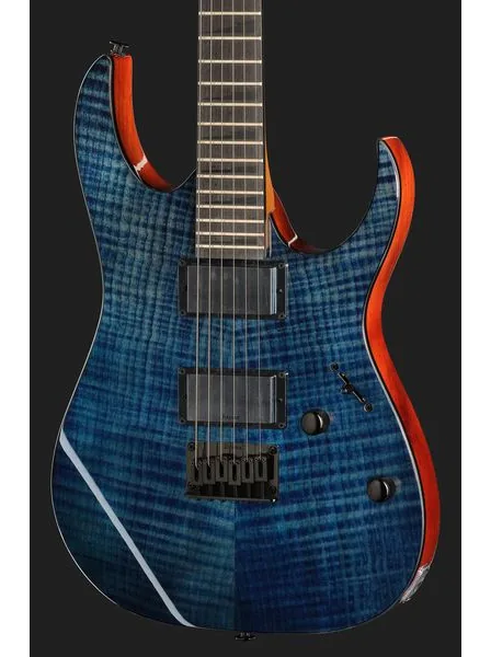 Ibanez GRGR221FA-TDK, detail 4