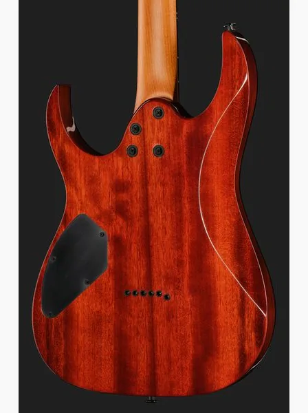 Ibanez GRGR221FA-TDK, detail 5