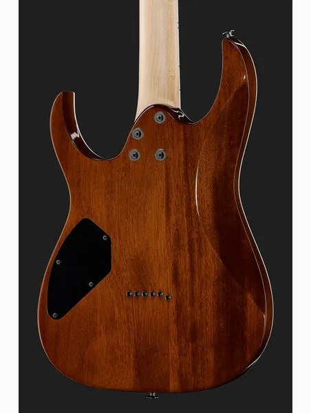 Ibanez GRGR221PA-AQB, detail 5