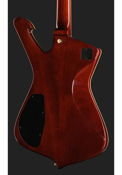 Ibanez IC420FM-TBG, detail 5