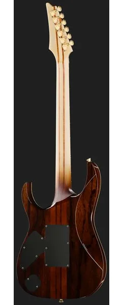 Ibanez IV1RG Visions RG, detail 3