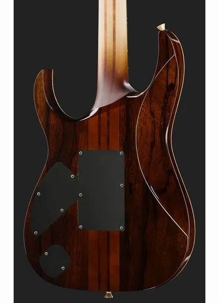 Ibanez IV1RG Visions RG, detail 5