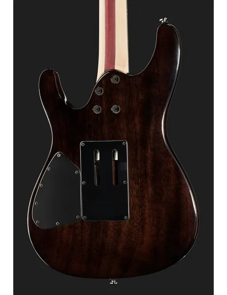 Ibanez JIVA 10-DSB, detail 5