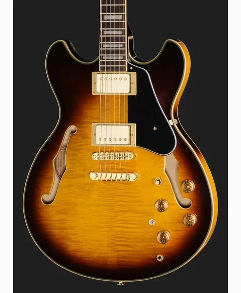 Ibanez JSM10EM-TTB John Scofield, detail 4