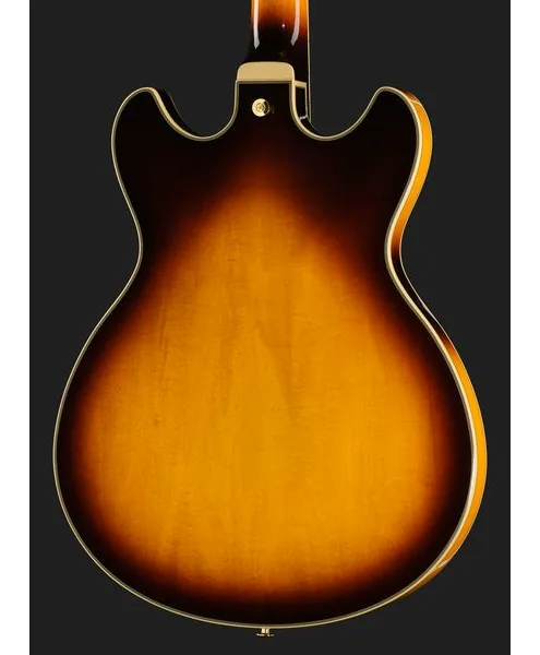 Ibanez JSM10EM-TTB John Scofield, detail 5