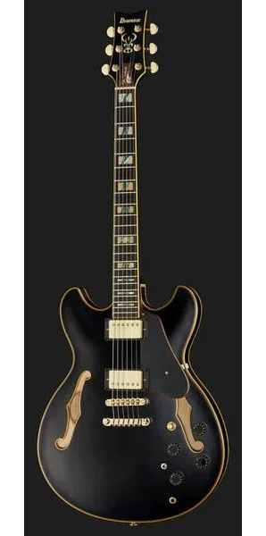 Ibanez JSM20-BKL, detail 2
