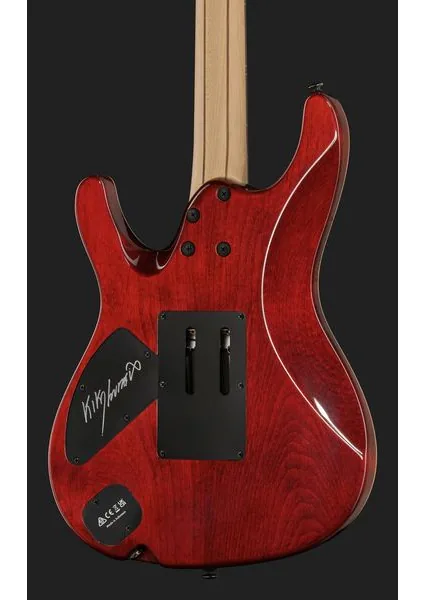 Ibanez KIKO10BP, detail 5