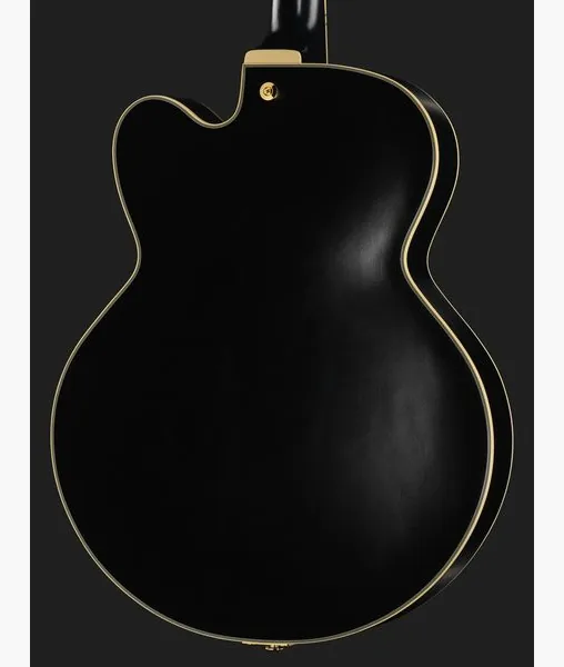 Ibanez PM3C-BKL Pat Metheny, detail 5