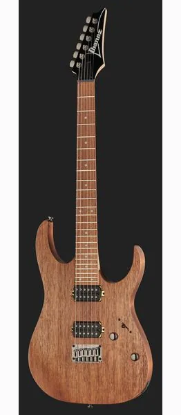 Ibanez RG421-MOL, detail 2