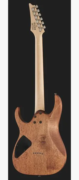 Ibanez RG421-MOL, detail 3