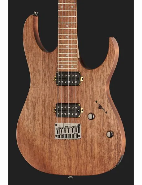 Ibanez RG421-MOL, detail 4