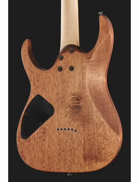 Ibanez RG421-MOL, detail 5