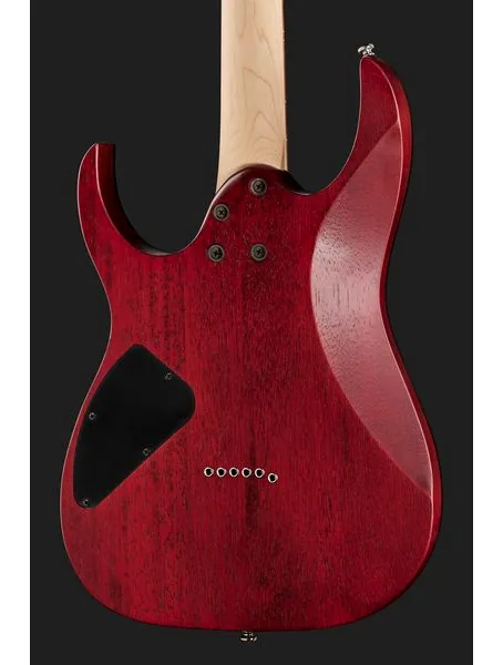 Ibanez RG421PB-CHF, detail 5