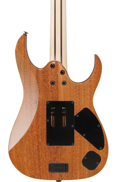 Ibanez RG5120ML-FCN LH, detail 5