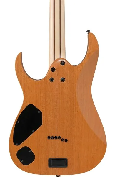 Ibanez RG5121R-DBF, detail 5