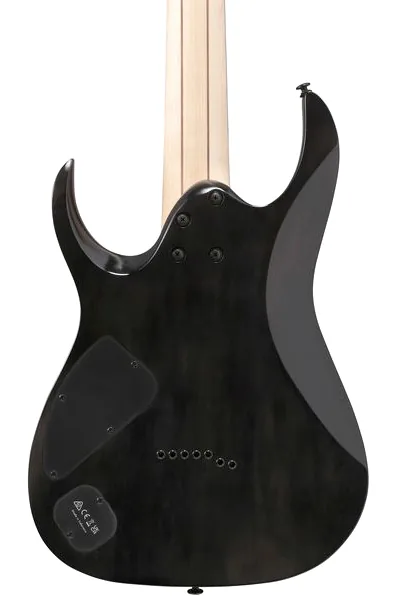 Ibanez RGA217P1PBDRL, detail 5