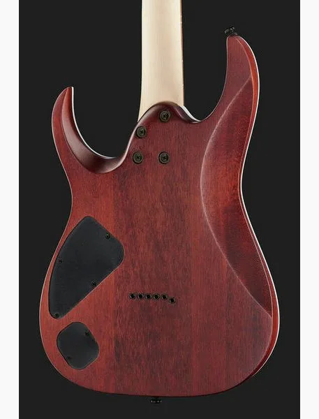 Ibanez RGA42FM-DEF, detail 5