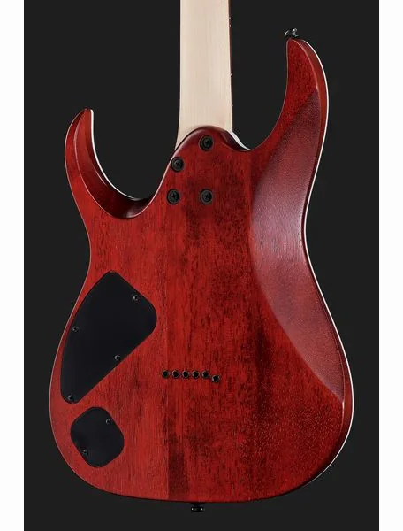 Ibanez RGA42FM-TGF, detail 5