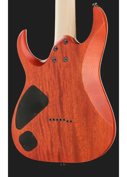 Ibanez RGA742FM-TGF, detail 5