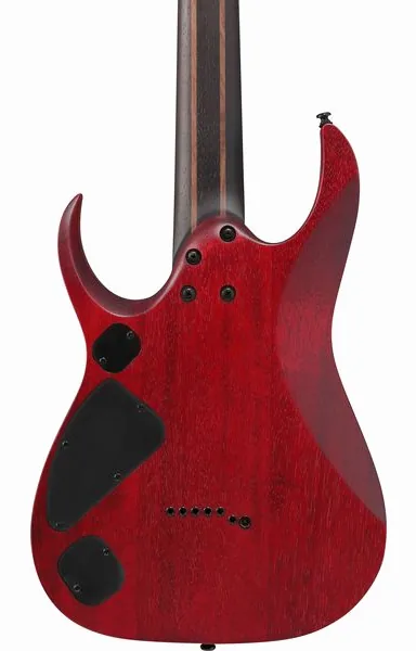 Ibanez RGD721FA-WUF, detail 5