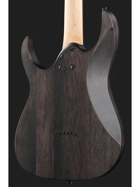 Ibanez RGR431PB-CGF, detail 5