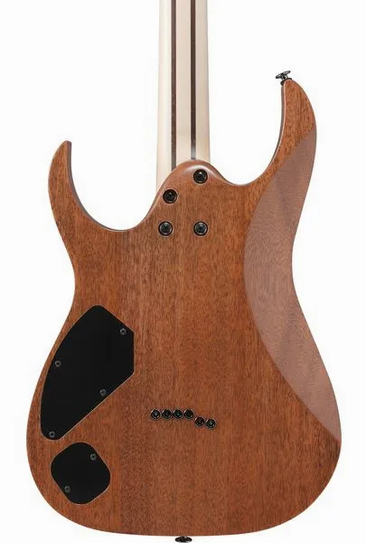 Ibanez RGR5221R-TFR, detail 5