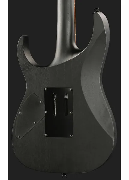 Ibanez RGRT420-WK, detail 5