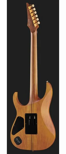 Ibanez RGT1220PB-ABS, detail 3