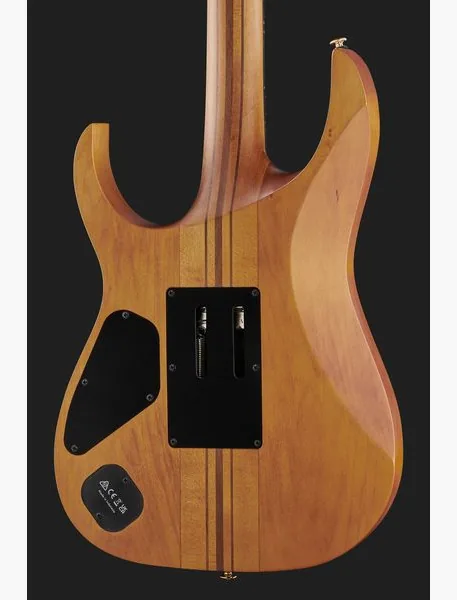 Ibanez RGT1220PB-ABS, detail 5