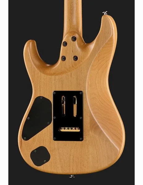 Ibanez TQM2-CUF, detail 5