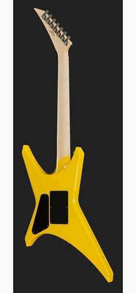 Jackson Pro Signature DD WR7 M FY, detail 3