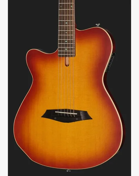 Larry Carlton G5A Tobacco Sunburst LH, detail 4