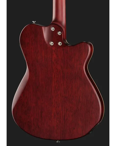 Larry Carlton G5A Tobacco Sunburst LH, detail 5
