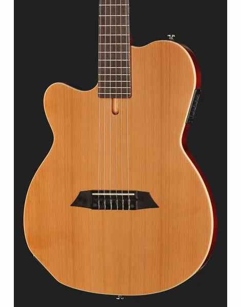 Larry Carlton G5N Natural LH, detail 4